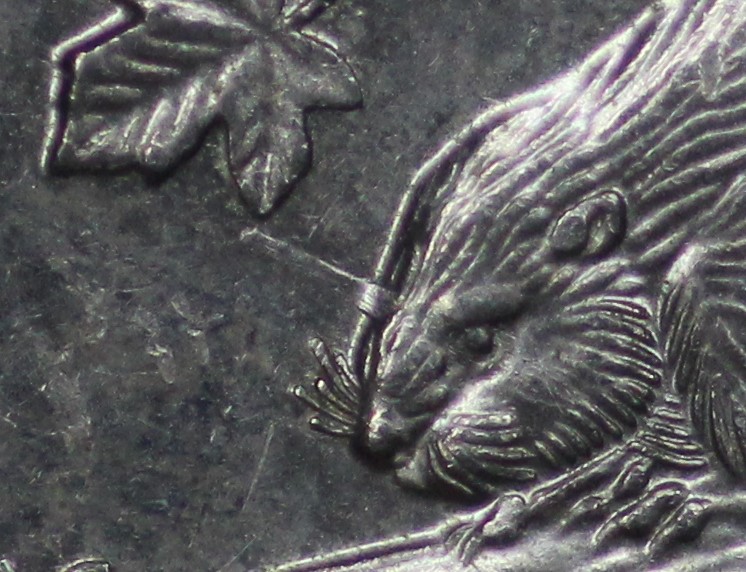 5 cents 1999 licorne-1 détail.jpg