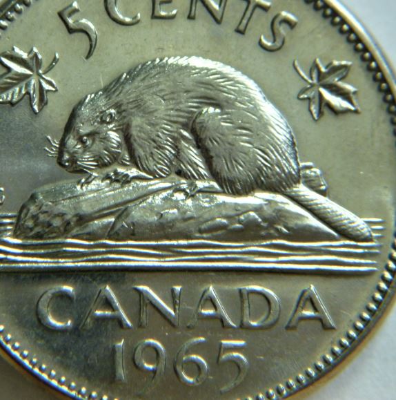 5 Cents 1965-Coin entrechoque au dessus de la tête du castor-1.JPG