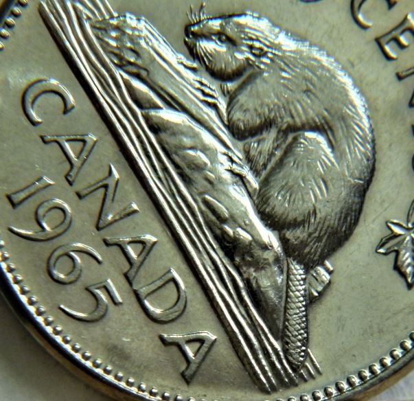 5 Cents 1965-Éclat coin au bout de la queue et patte arrière ,3.JPG