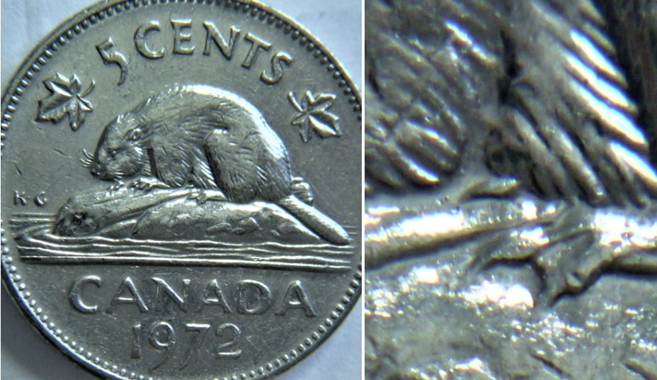 5 Cents 1972-Éclat coin sous abdomen du castor,1.JPG