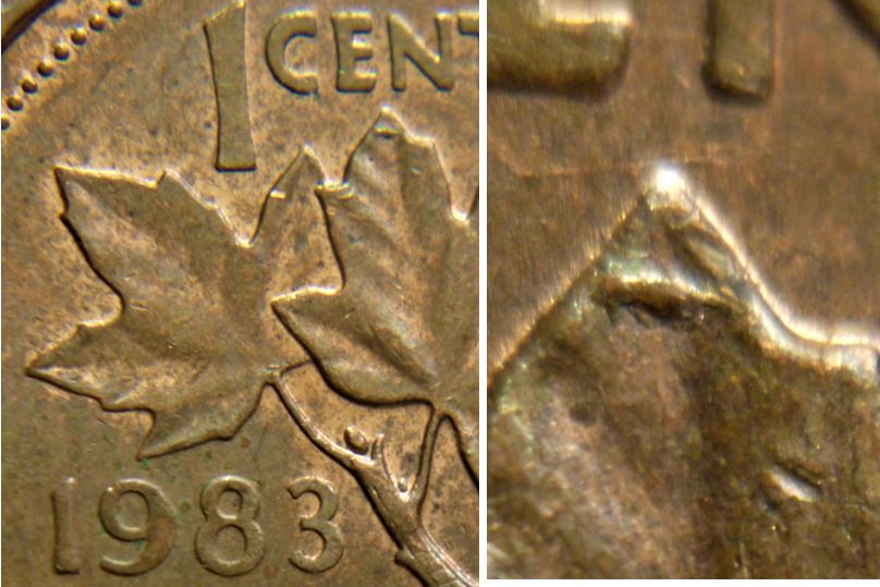 1 Cent 1983-Éclat du coin dans la feuille droite-1.JPG
