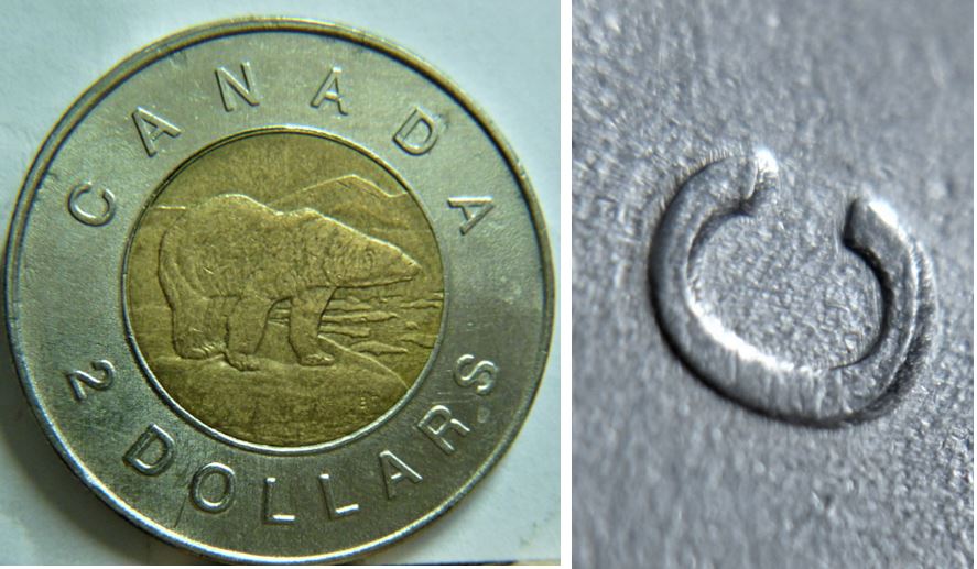 2 Dollar 2009-Le logo a fait une belle glissade-4.JPG