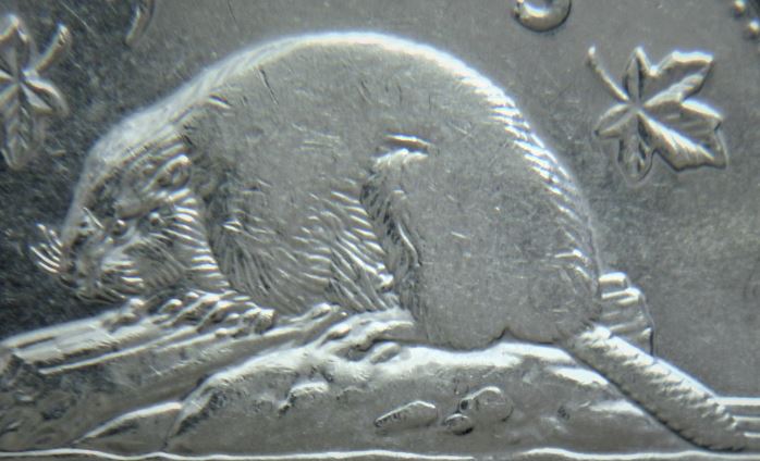 5 Cents 2006-Frappe faible sur le castor-2.JPG