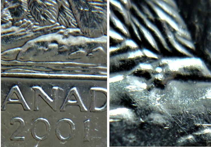 5 Cents 2001P-Éclat du coin sur patte arrière-4.JPG