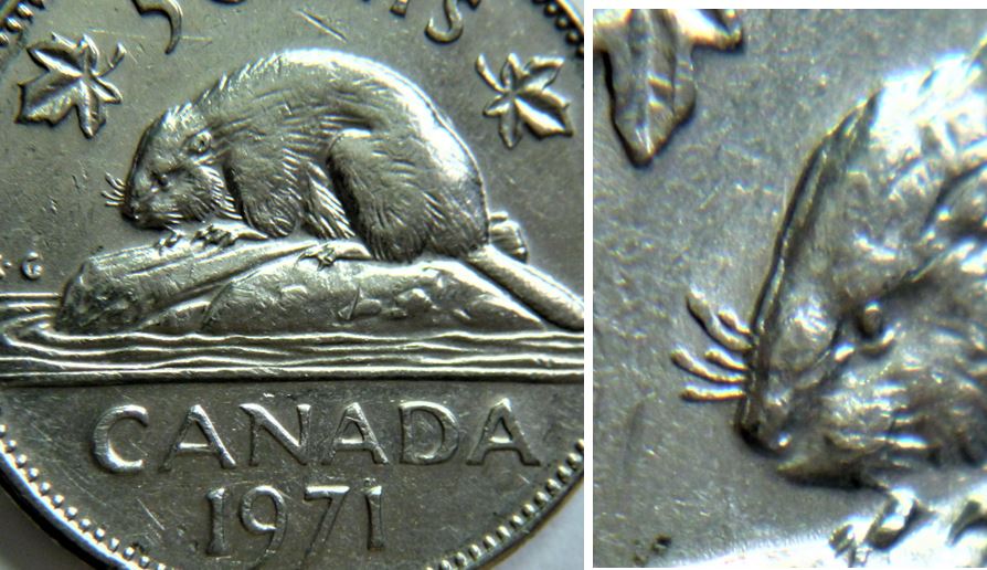 5 Cents 1971-Double tête du castor-1.JPG