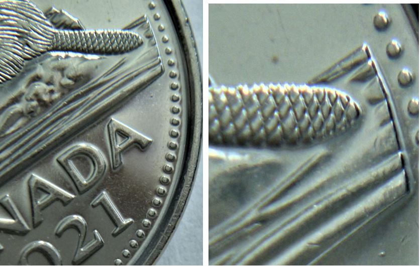 5 Cents 2021-Polisage excesif au tour du bout de la queue.1.JPG