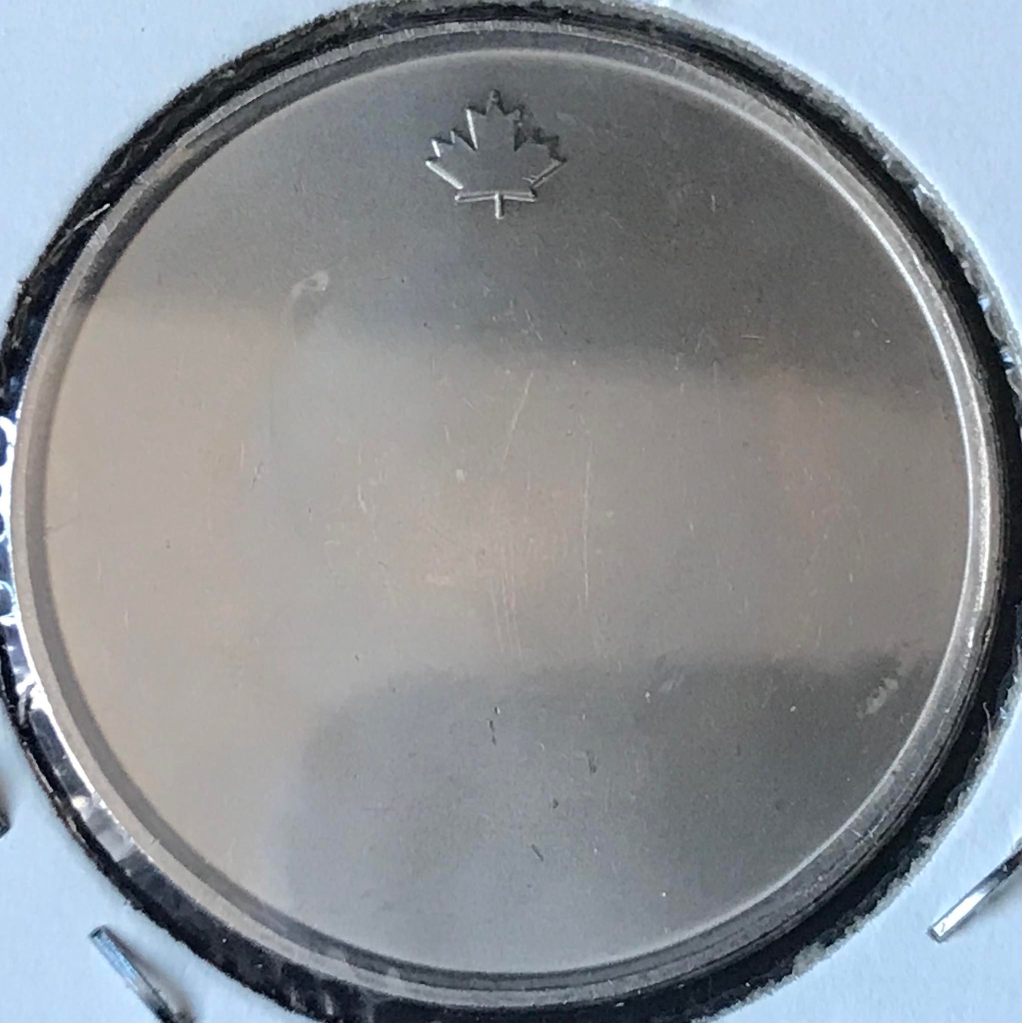 SS-5-2.jpg