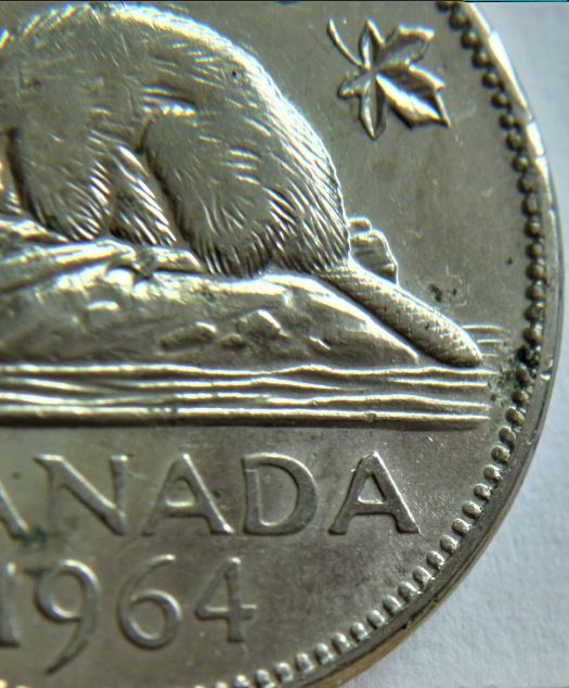5 Cents 1964-Coin fendille au bout de la queue du castor,1.JPG