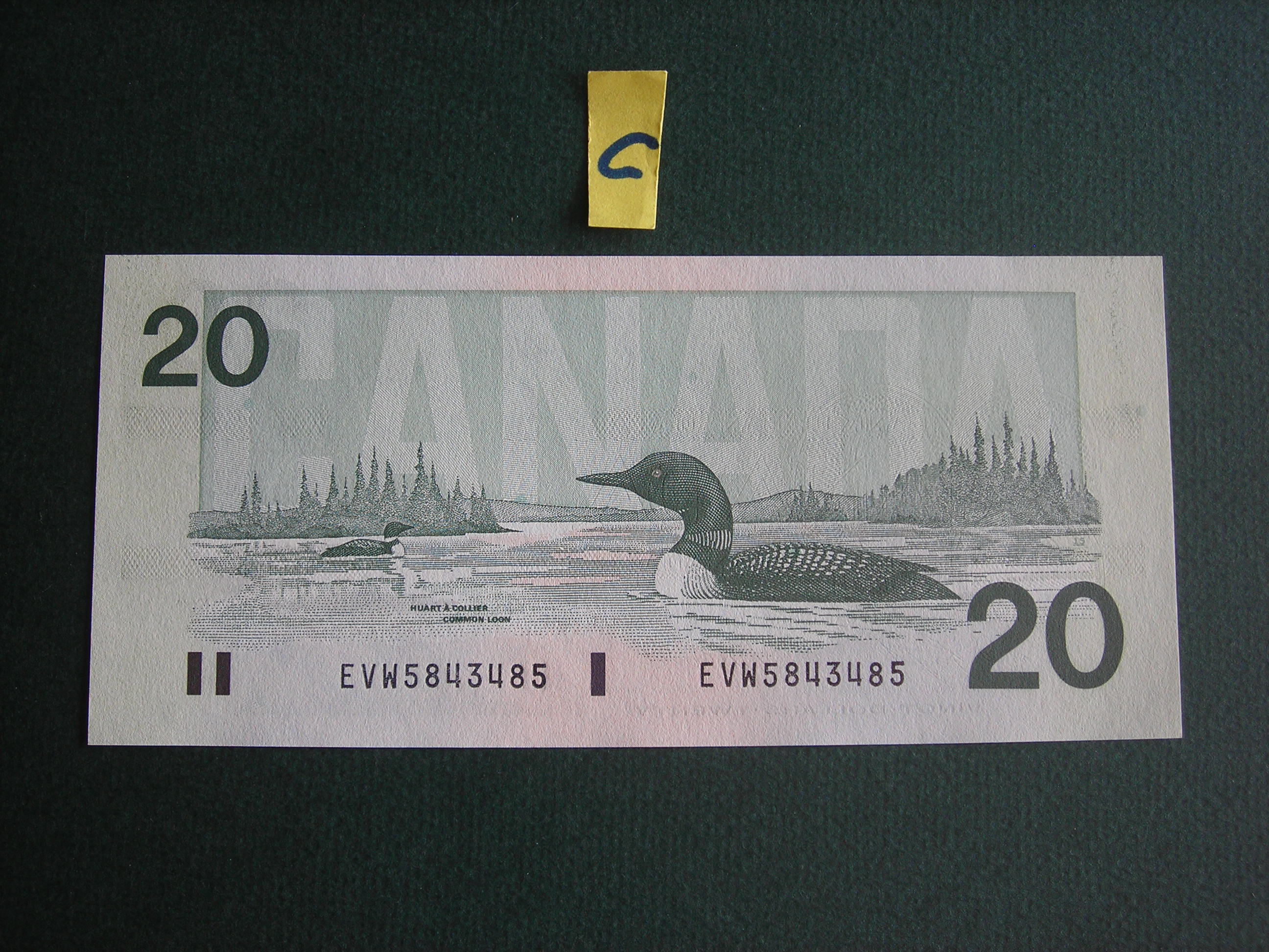 DSCN8784.JPG