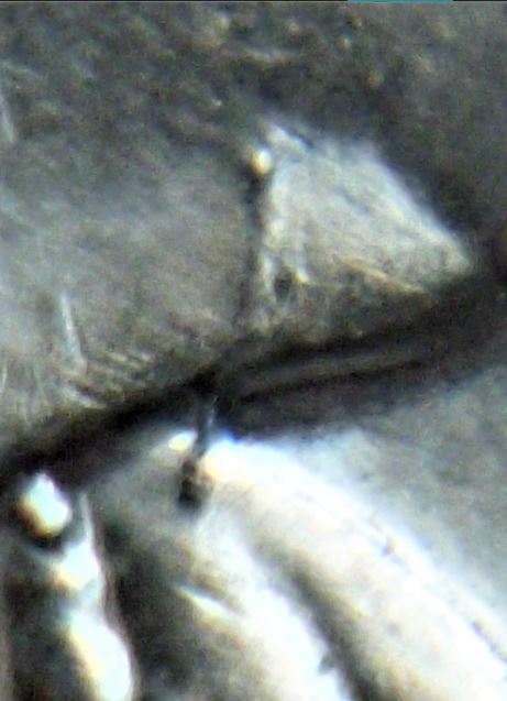 5 Cents 2004-Coin fendillé à la gorge de effigie-3.JPG