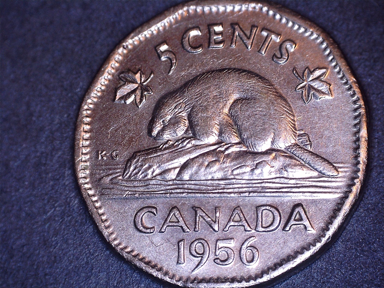 1956double 1.jpg