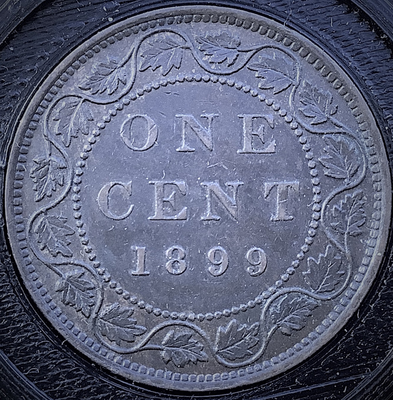 1 cent 1899 revers EF-45.jpg