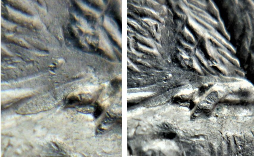 5 Cents 1998-Dépôt de métal sur l'abdomen et au dessus de la patte arrière-2.JPG