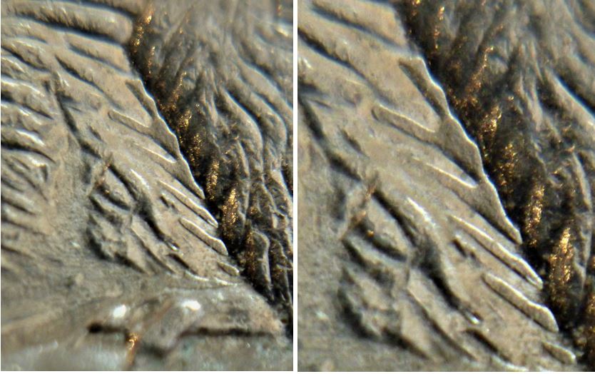 5 Cents 1998-Dépôt de métal sur l'abdomen et au dessus de la patte arrière-3.JPG