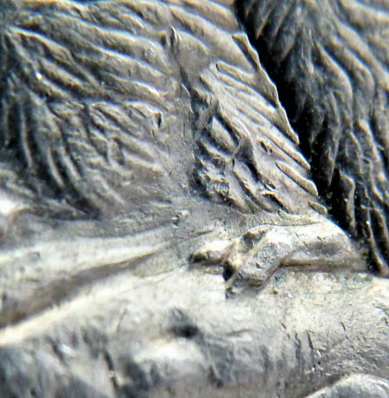 5 Cents 1998-Dépôt de métal sur l'abdomen et au dessus de la patte arrière-4.JPG