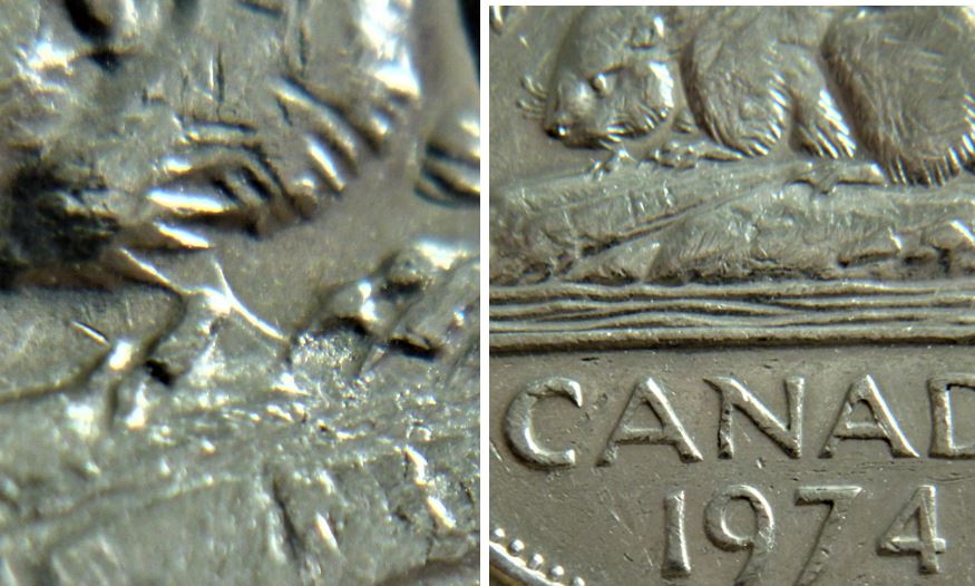 5 Cents 1974-Coin entrechoqué sous le menton du castor-2.JPG