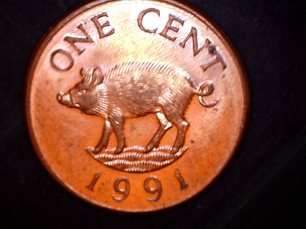 bermuda 1 cent 1990 dot 2.jpg