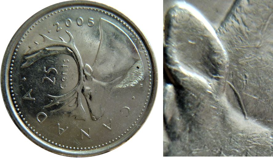 25 Cents 2005-Dommage du coin à l'oreil du caribou-1.JPG
