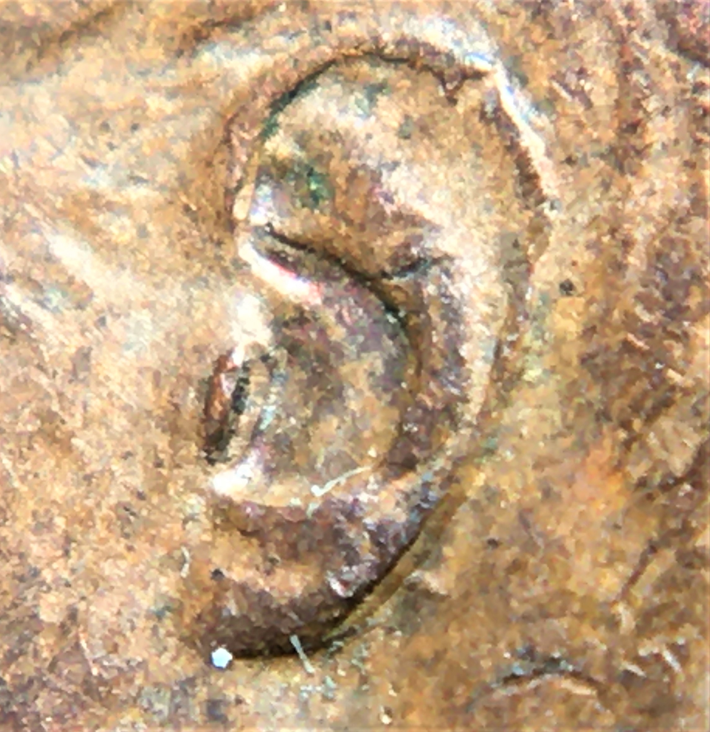 1 cent 1947 ml double oreille.jpg