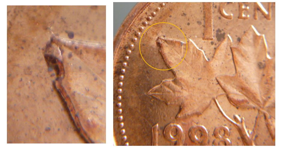 1 Cent 1998 - Éclat de coin au bout de la feuille gauche.JPG