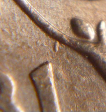 1 Cent -1981- Tige extra-éclat de coin-1.JPG