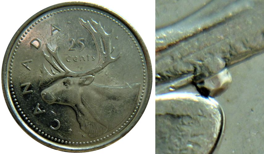 25 Cents 2002-Point au dessus de l'oreil du caribou-1.JPG