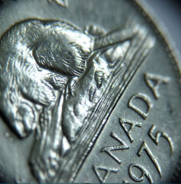 5 Cents 1975-Dommage du coin sous abdomen du castor-,1.JPG