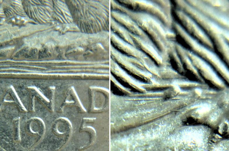 5 Cents 1995-Dommage du coin sous abdomen du castor-2.JPG