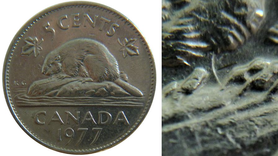 5 Cents 1977H-Coin entrechoqué sous menton du castor-,1.JPG