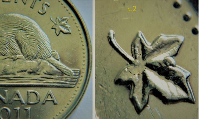 5 Cents 2011-Bosse sur le dos du castor+Éclat coin sur feuille droite-3.JPG