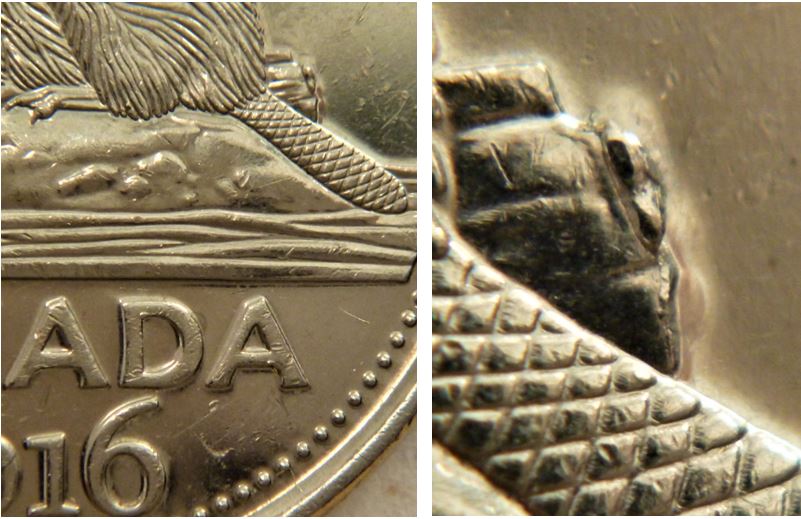 5 Cents 2016-Éclat du coin derrière la buche-1.JPG