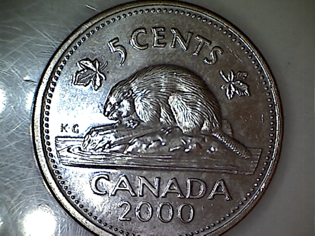 2000 Éclat sur le dos B523032B Revers.jpg