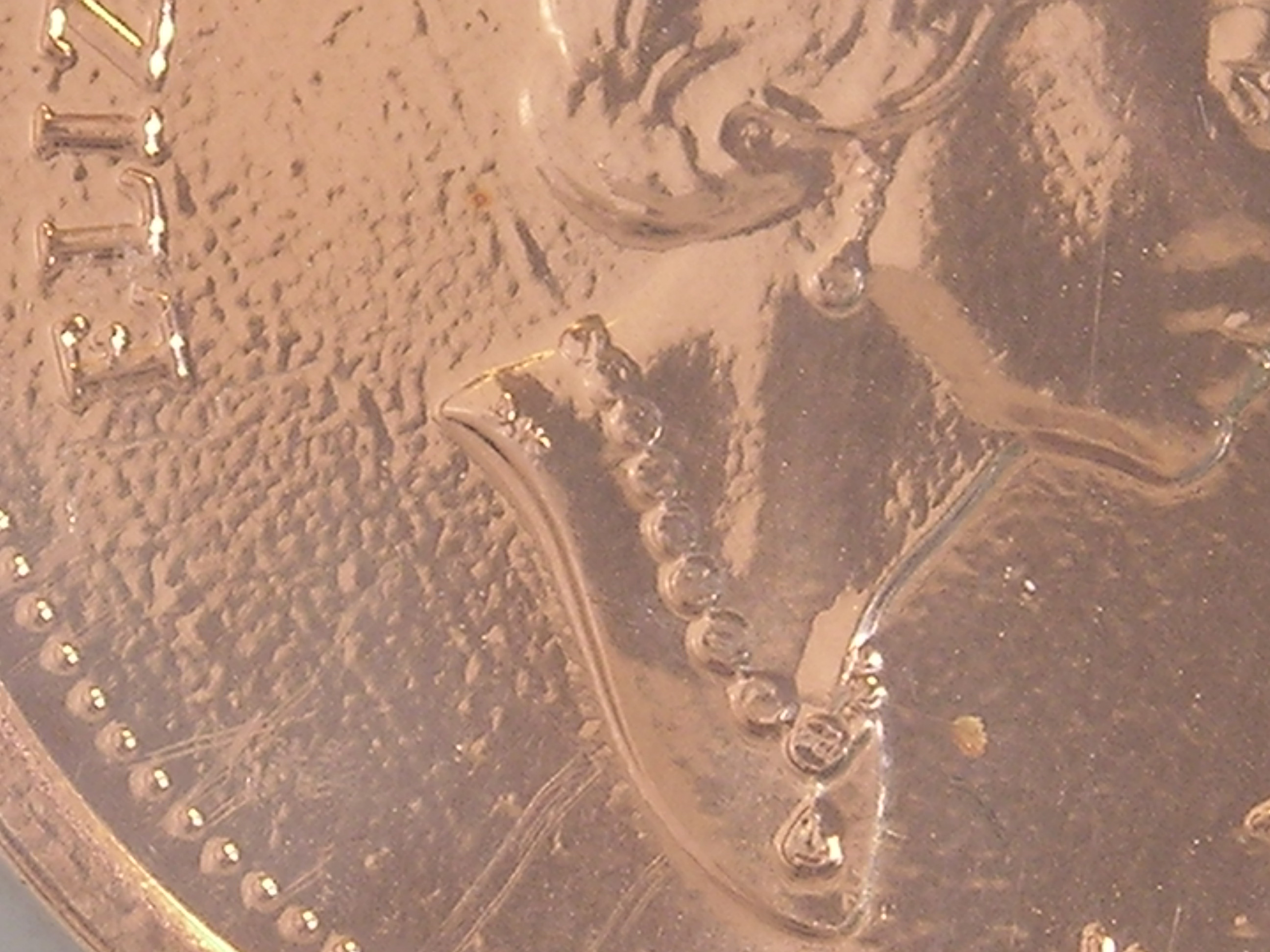 DSCN9679.JPG