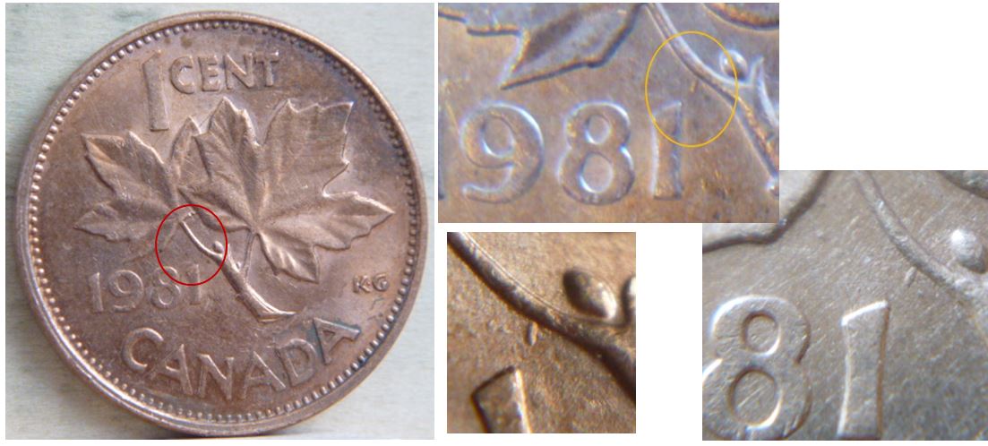 1 Cent 1981 -Avec une petite tige extra-1.JPG