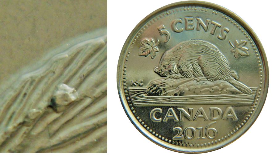 5 Cents 2016-Accumulation coté dos du castor-1.JPG