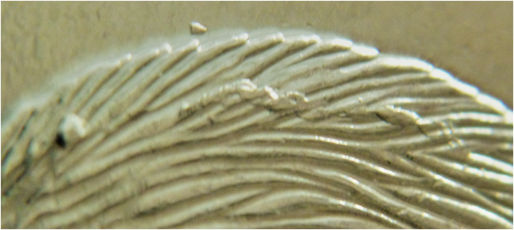 5 Cents 2016-Accumulation coté dos du castor-2.png