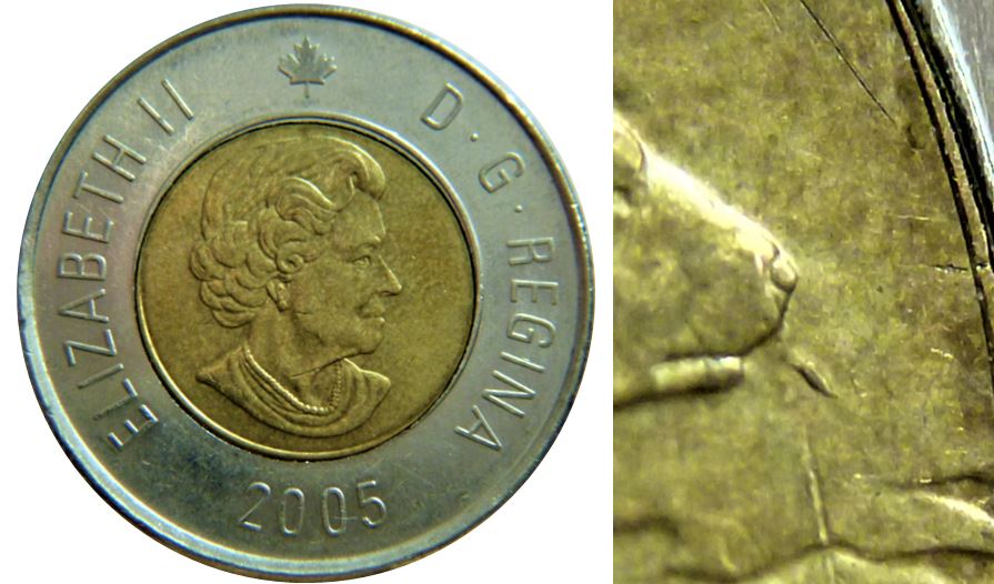 2 Dollar 2005-Éclat du coin devant la bouche de l'ours-1.JPG