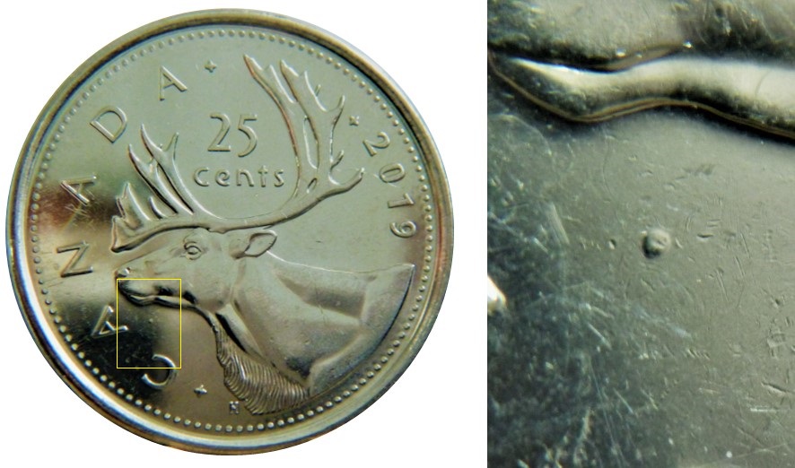 25 Cents 2019-Point sous la gorge du caribou-1.jpg