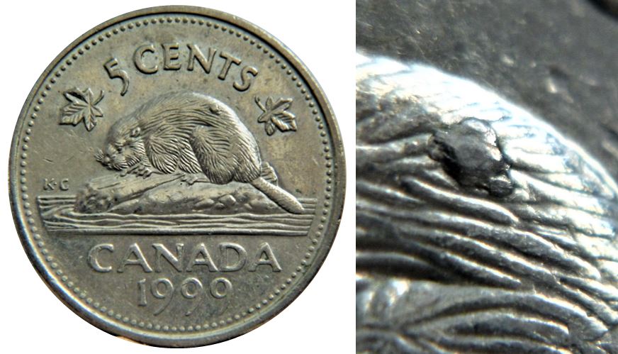5 Cents 1999-Grosse bosse sur le dos du castor-1.,.JPG