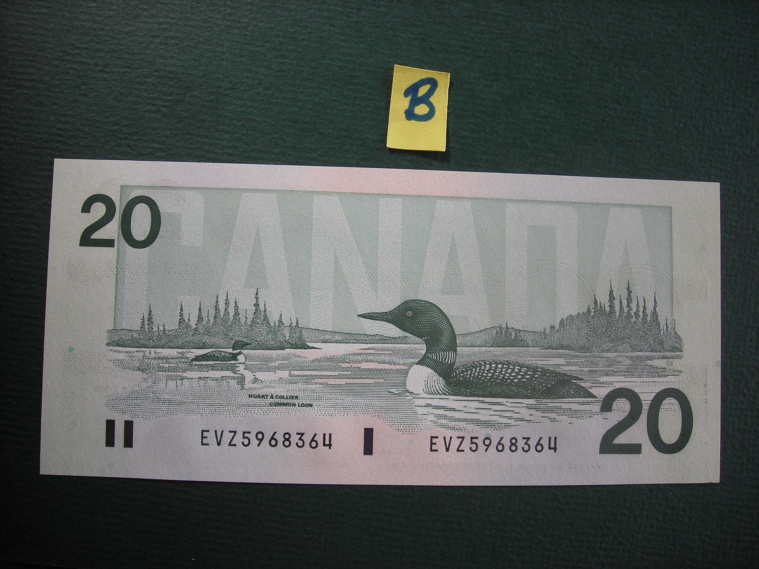 DSCN0137.JPG