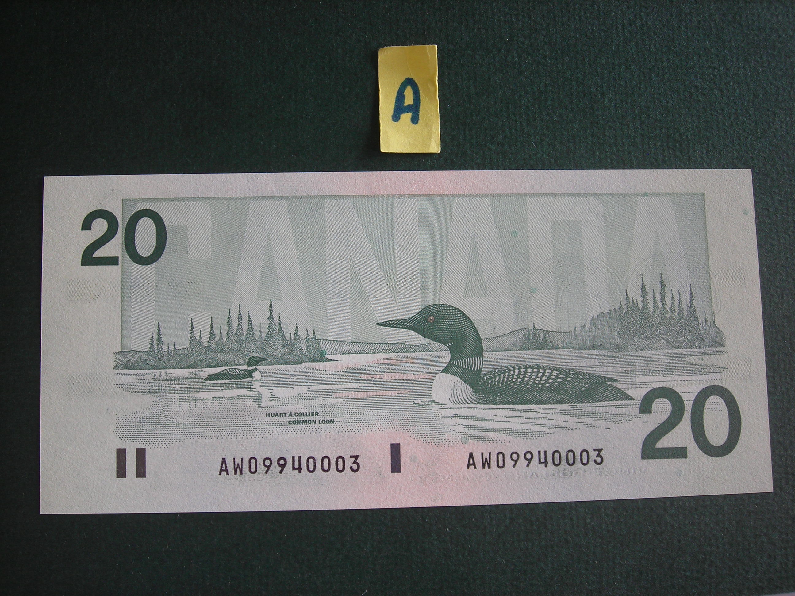 DSCN0475.JPG