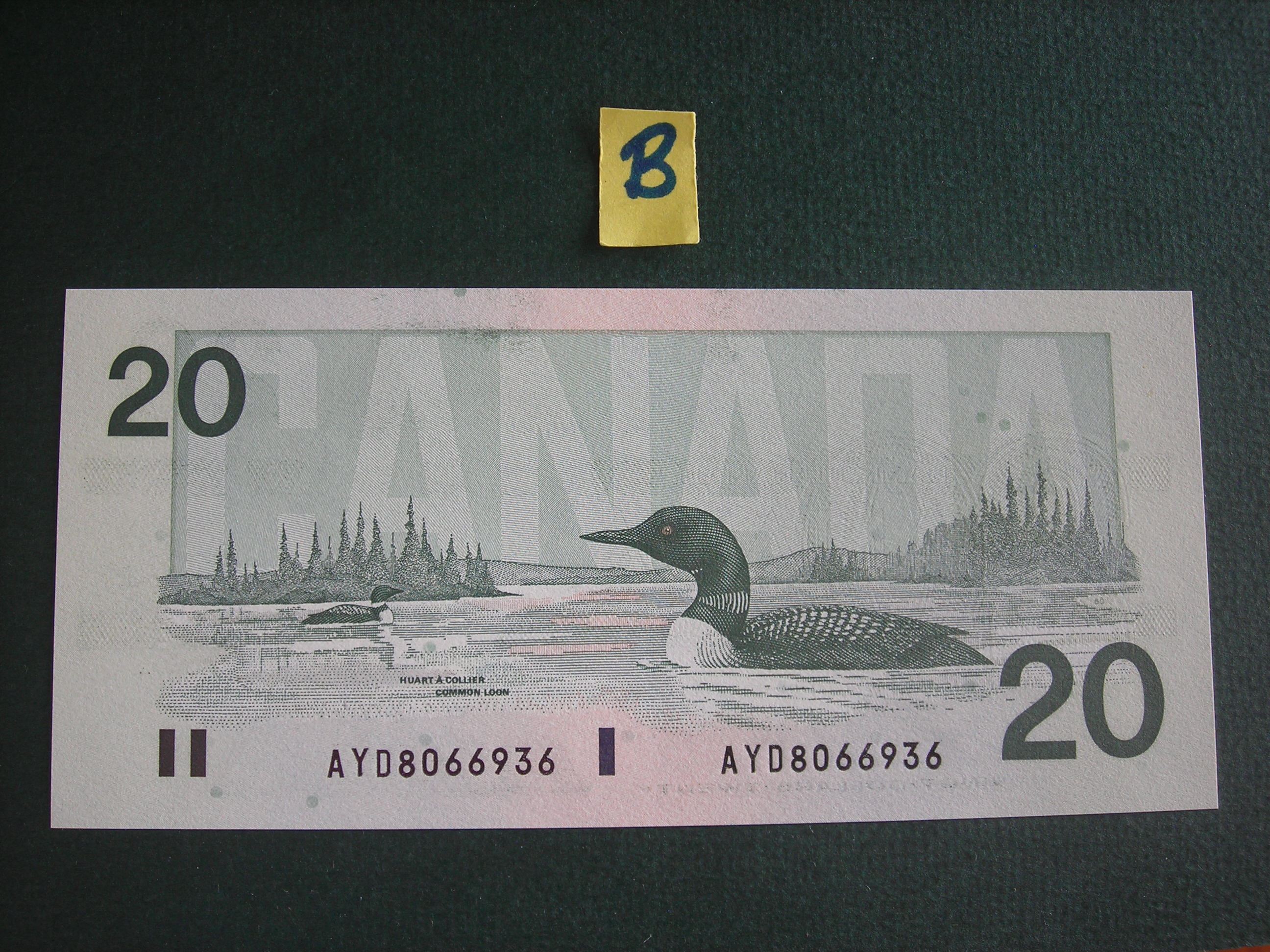 DSCN0477.JPG