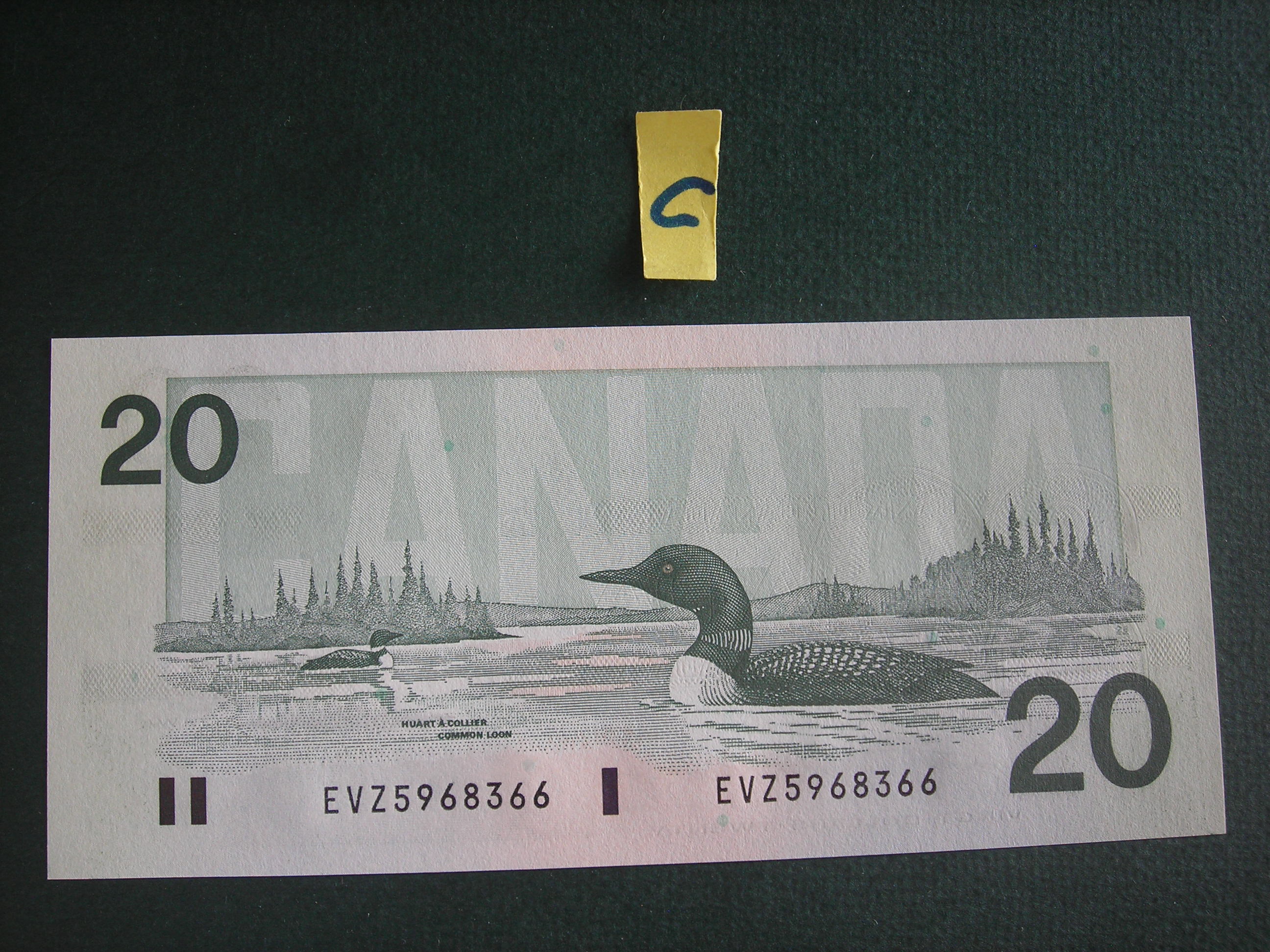 DSCN0479.JPG