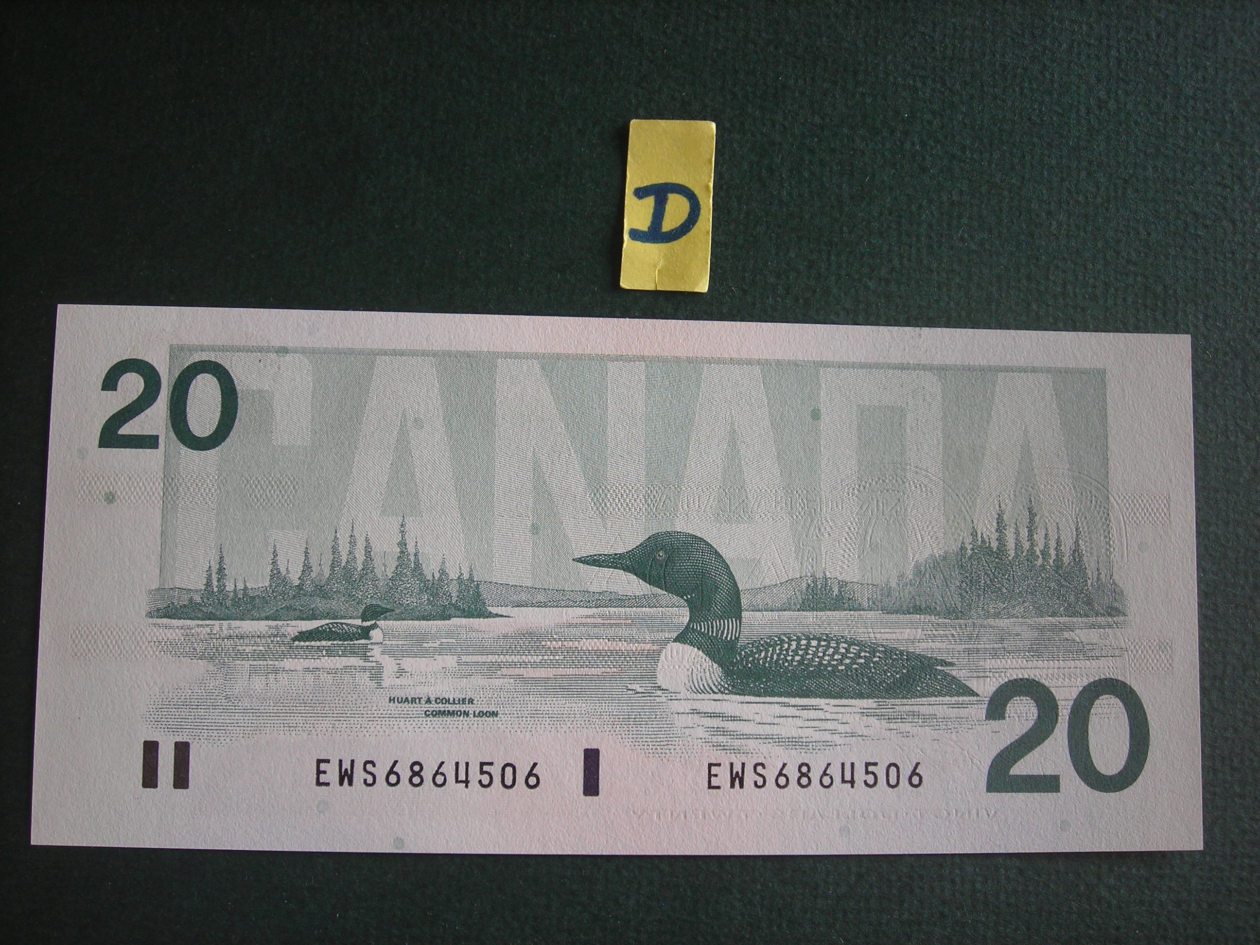 DSCN0481.JPG