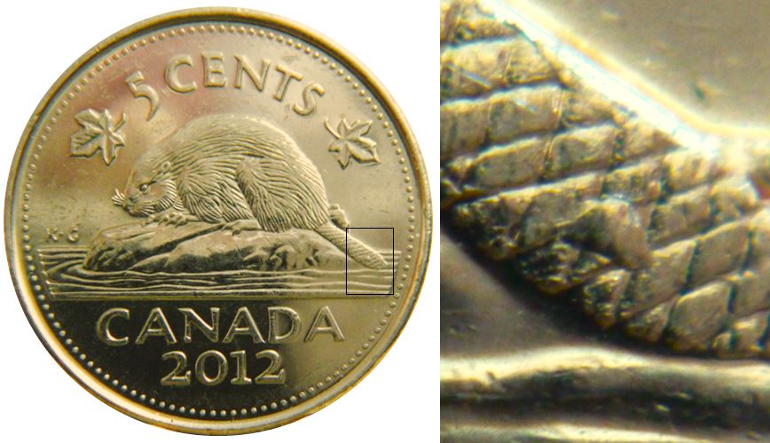 5 Cents 2012-Éclat coin sur la queue du castor-1.JPG