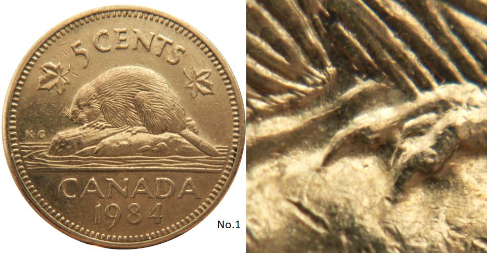 5 Cents 1984-Éclat coin sur la patte arrière-No.1,.JPG