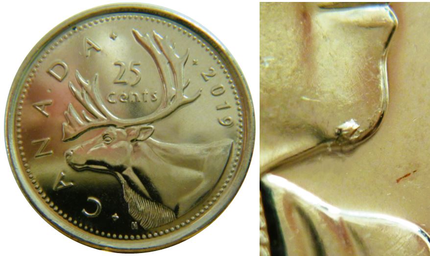 25 Cents 2019-Éclat coin sous menton effigie-1.JPG