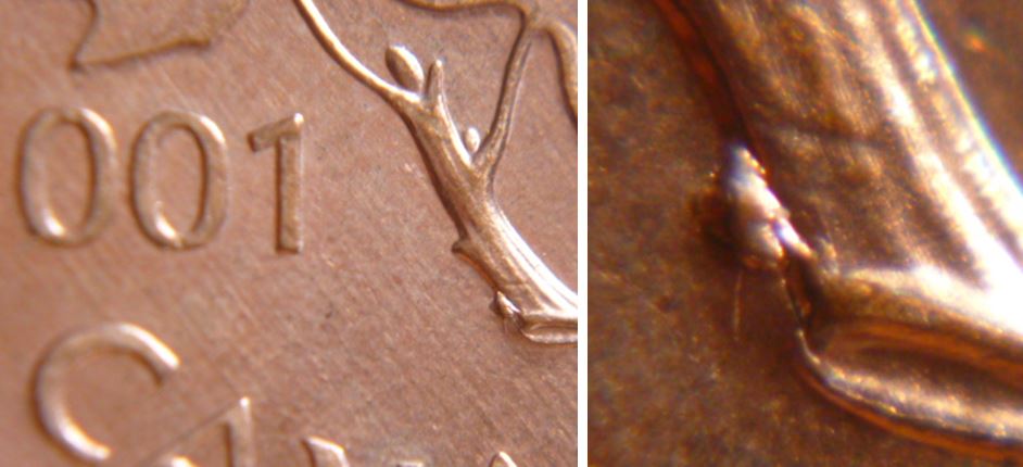 1 Cent 2001-Éclat de coin sur la branche.JPG