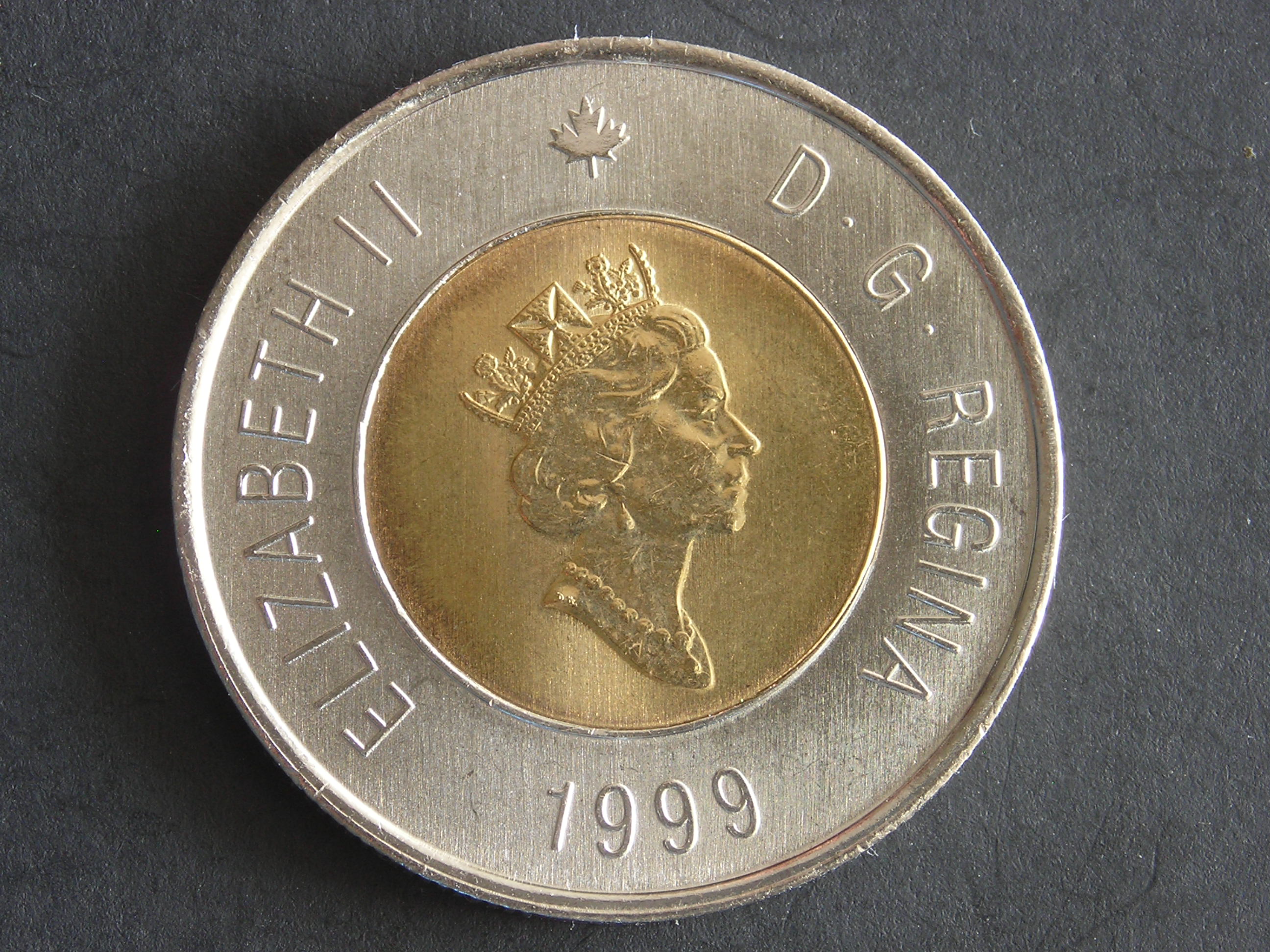 DSCN1140.JPG