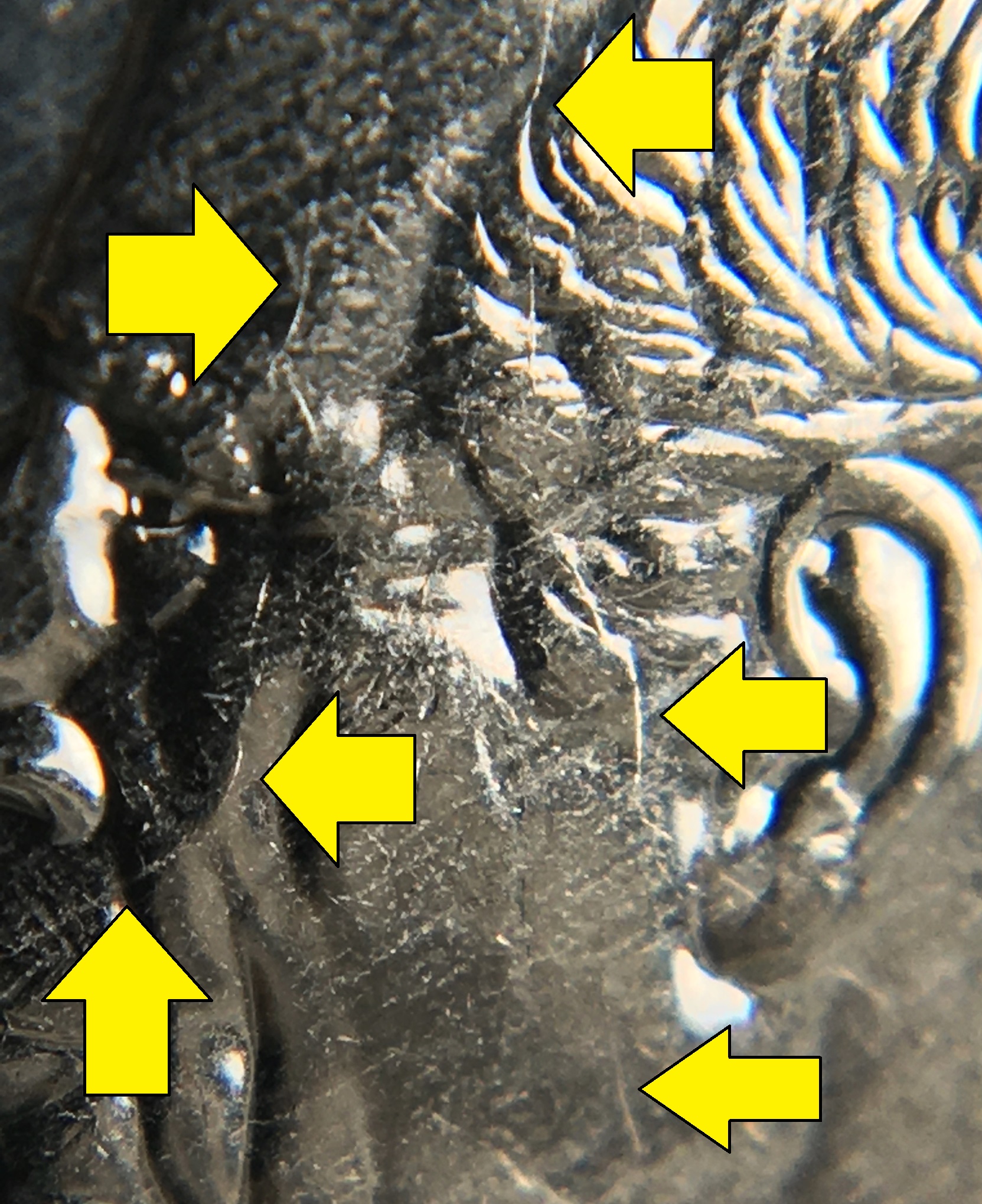 10 cents 2024 fendillements avec flèches.jpg